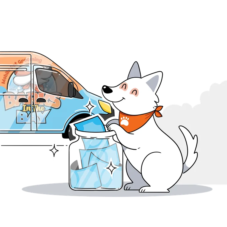 Happy clean dog