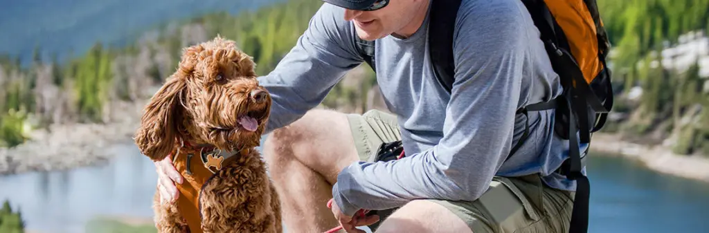hiking-with-your-dog-tips