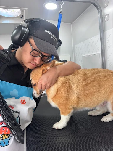 mobile dog grooming gentle corgi
