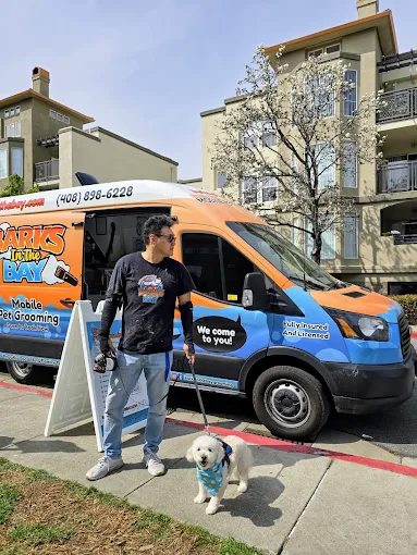 mobile grooming for a maltipoo