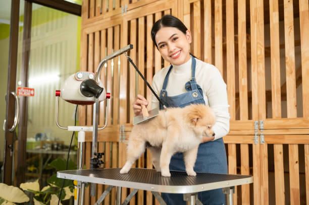 Dog Grooming in Campbell, CA