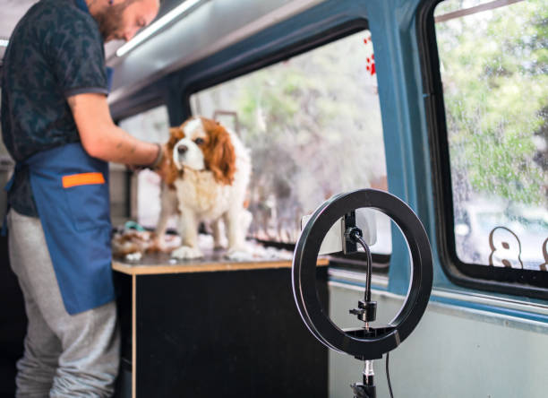 Mobile Dog Bath Service