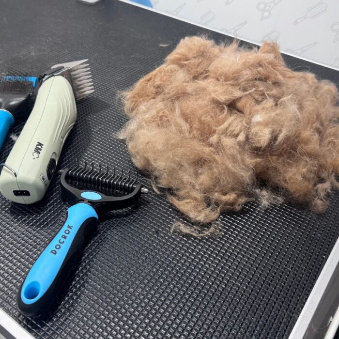 deshedding golden retriever