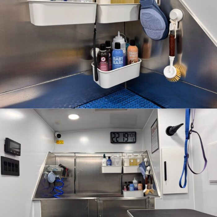 mobile dog grooming golden retriever (2)