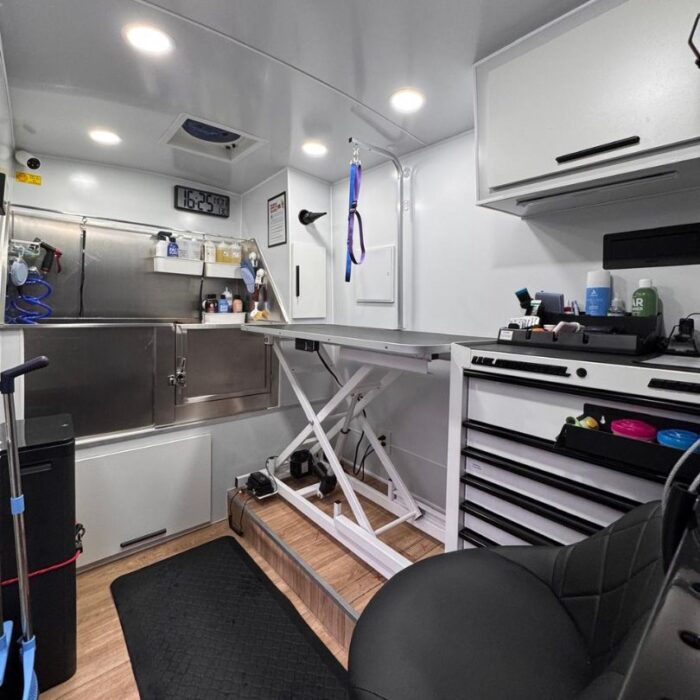 mobile dog grooming golden retriever (3)