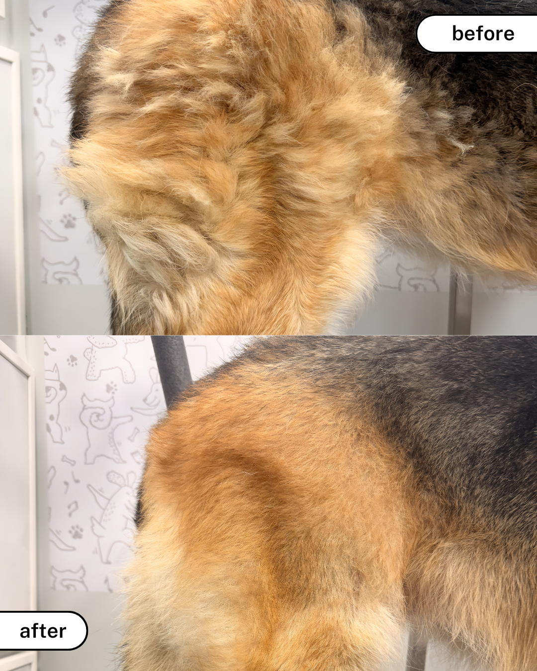 mobile grooming deshedding