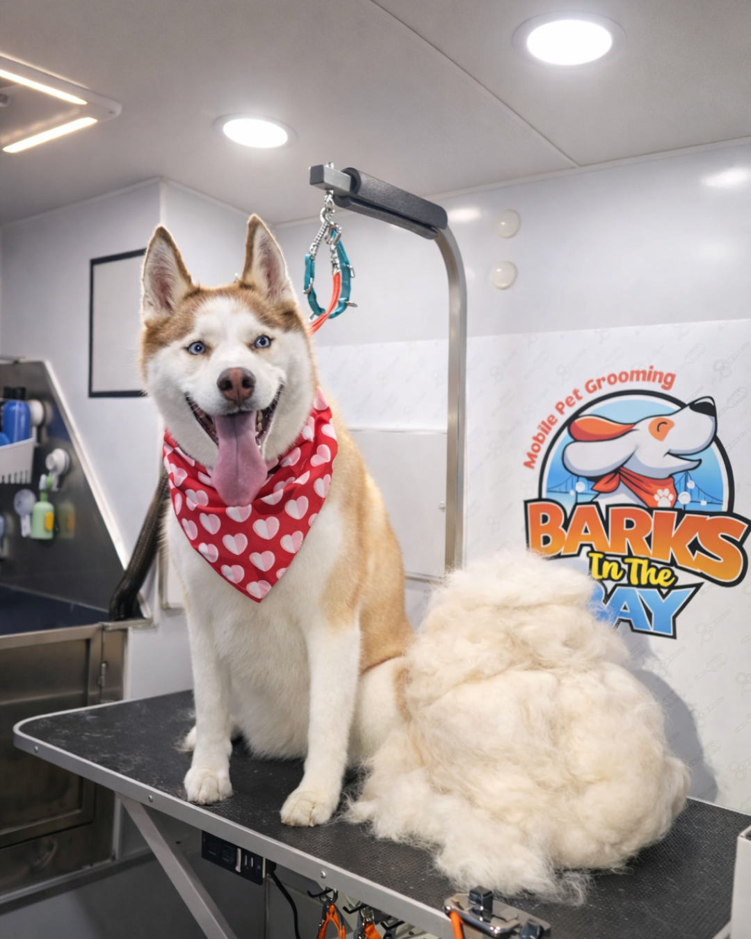 mobile grooming deshedding