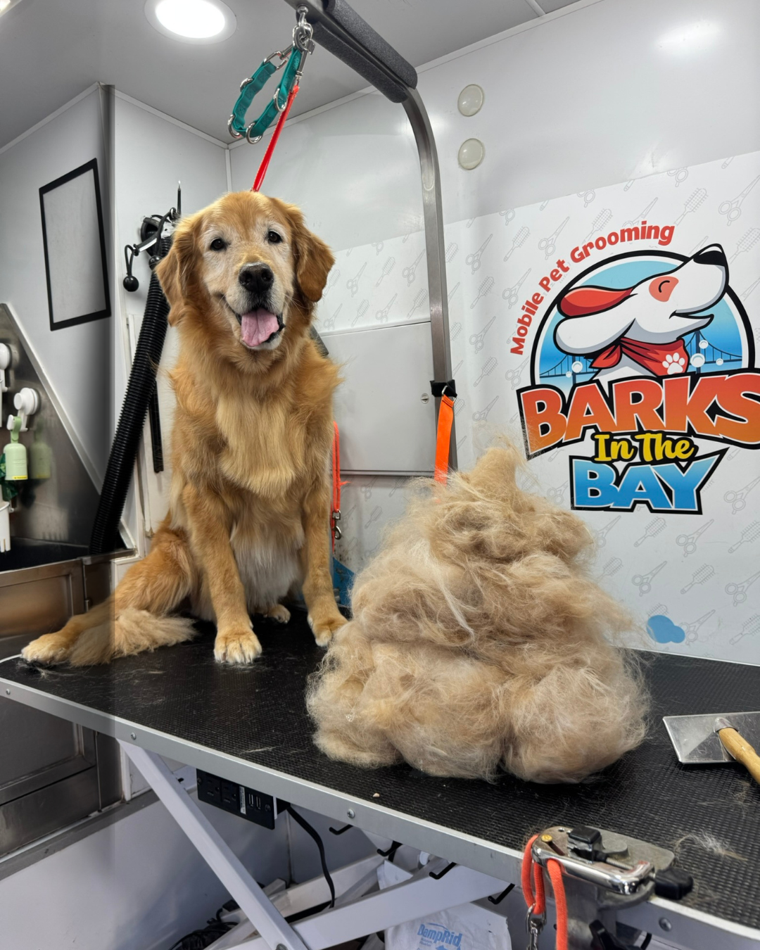 mobile grooming deshedding