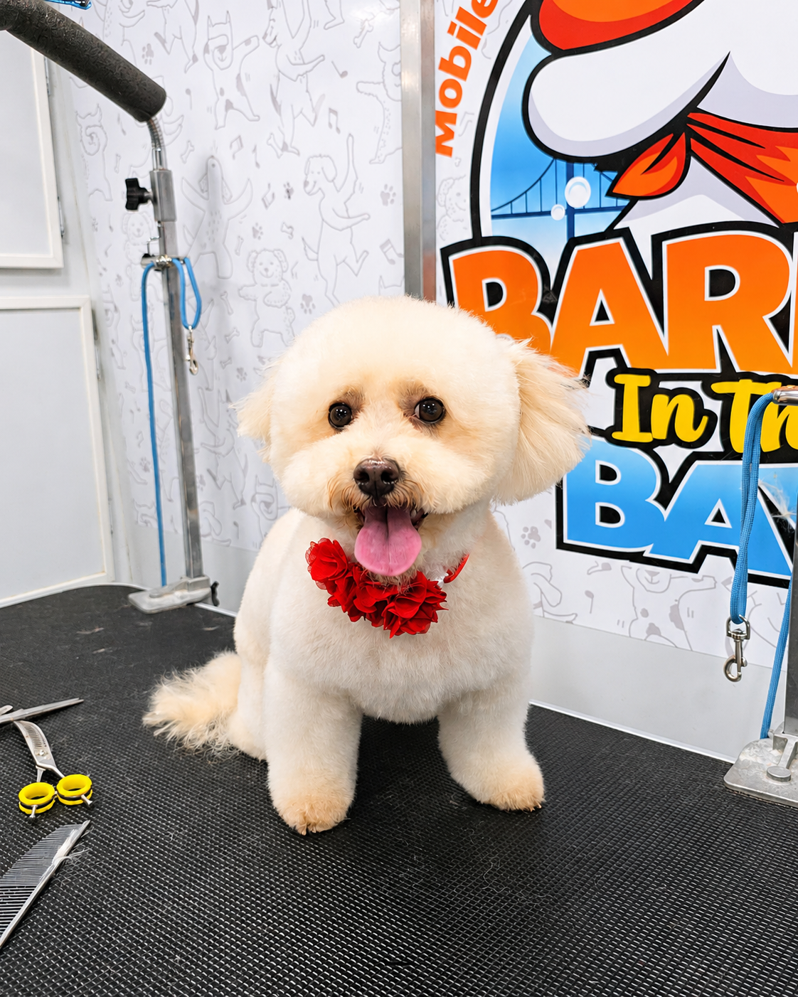 South Bay mobile dog groomer