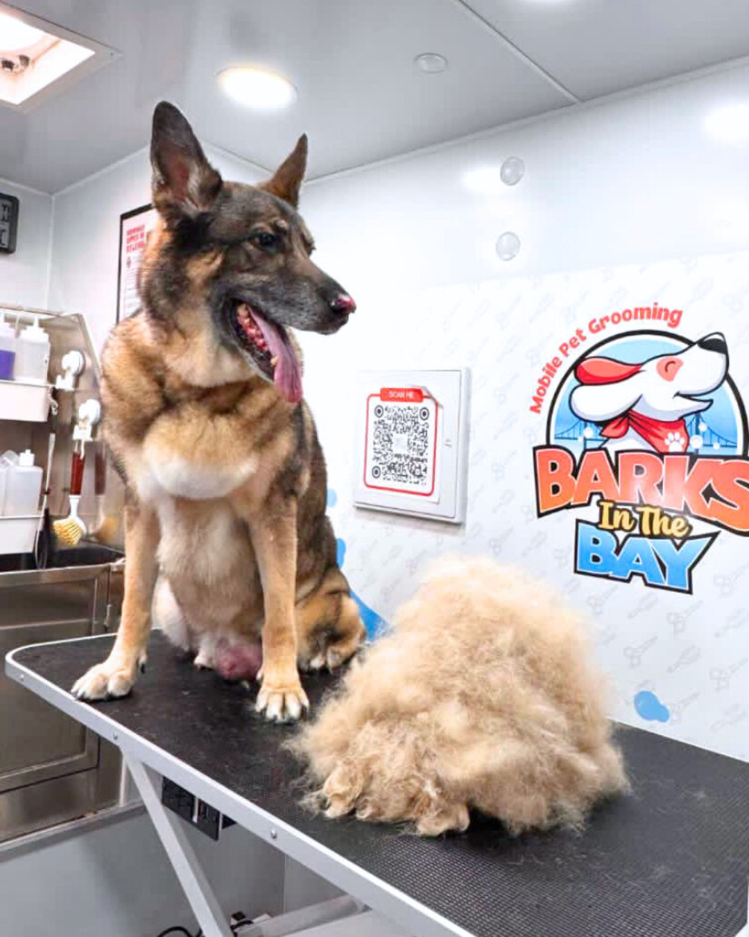 mobile grooming deshedding