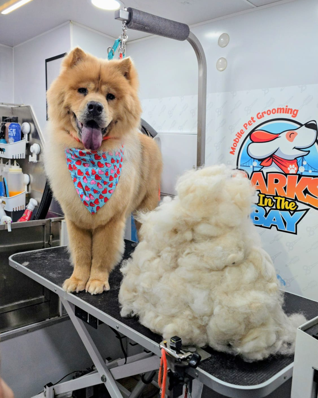 mobile grooming deshedding