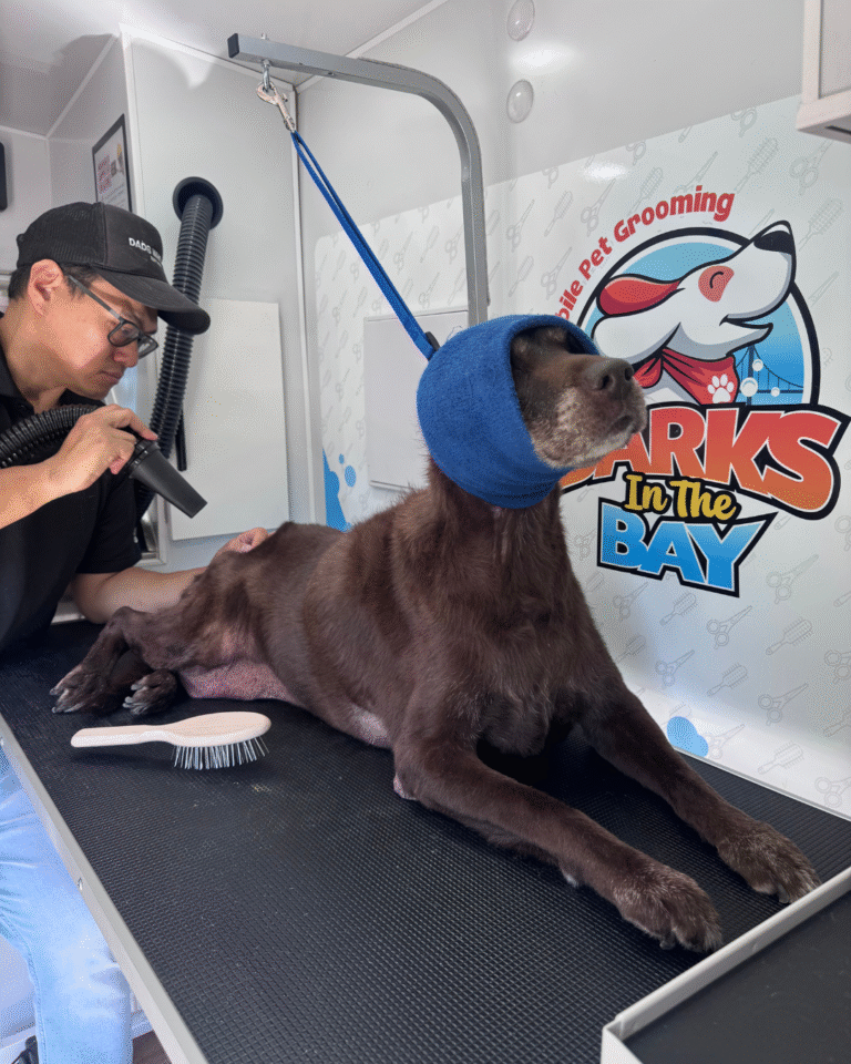 mobile dog bath bay area california
