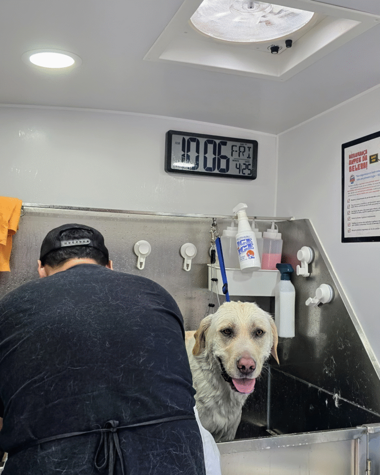 mobile dog bath bay area california
