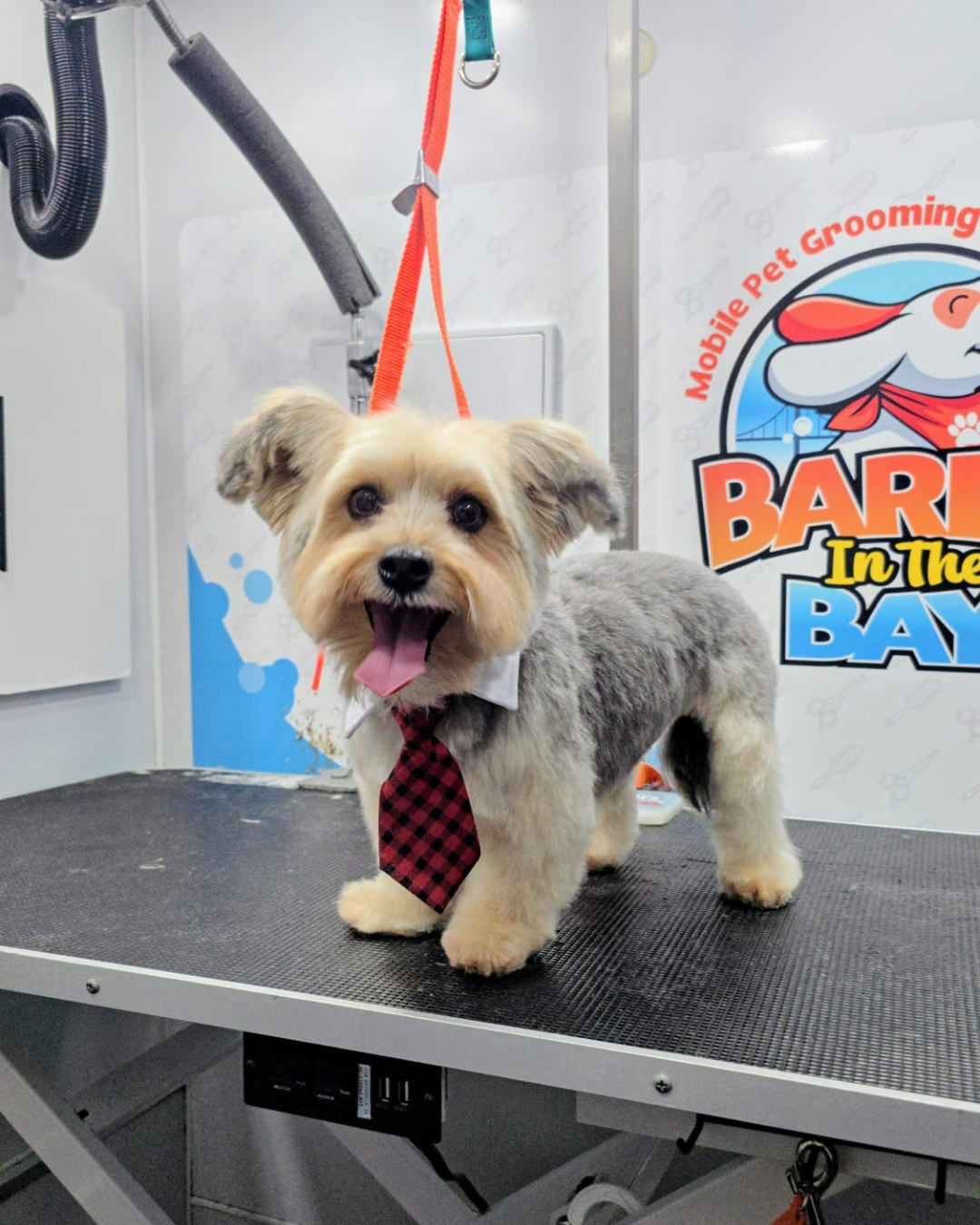 mobile dog haircut