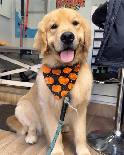 5267660A-45F7-4BA4-953E-814EC761CB0E