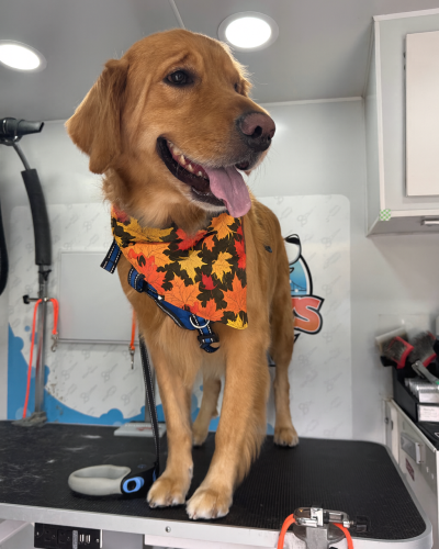 53F5AC13-7DDD-4BA0-8421-5C8260DC579E