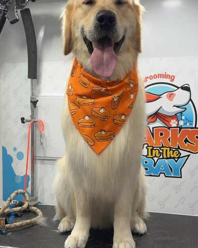 6BAC813C-447D-4C5A-AF9E-CDA0C0CE8AA9