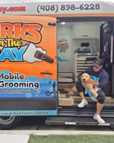 mobile-dog-grooming-in-hayward-ca