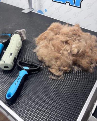 deshedding golden retriever