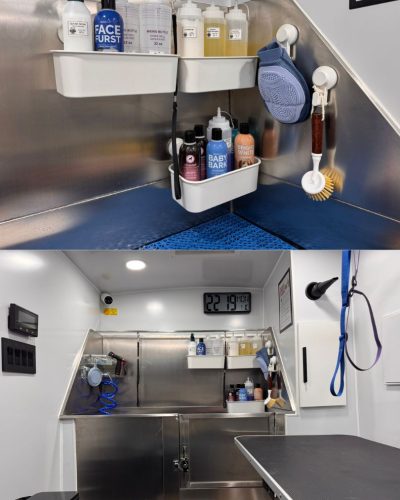 mobile dog grooming golden retriever (2)