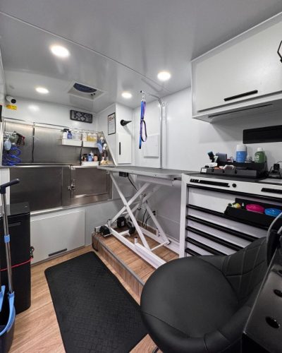 mobile dog grooming golden retriever (3)