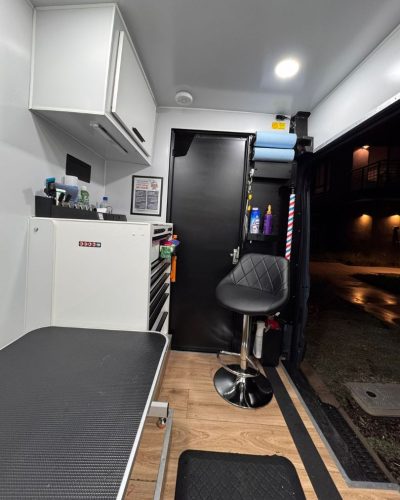 mobile dog grooming golden retriever (4)