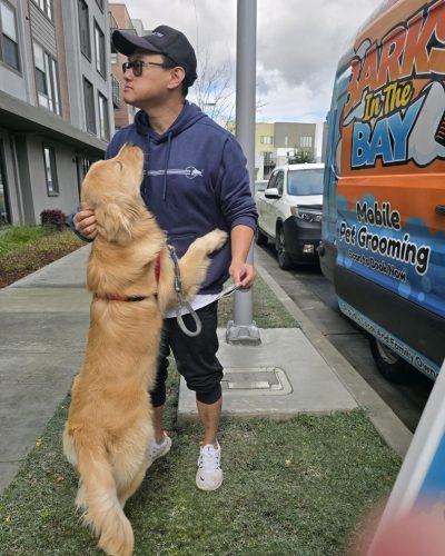 mobile dog grooming golden retriever hayward