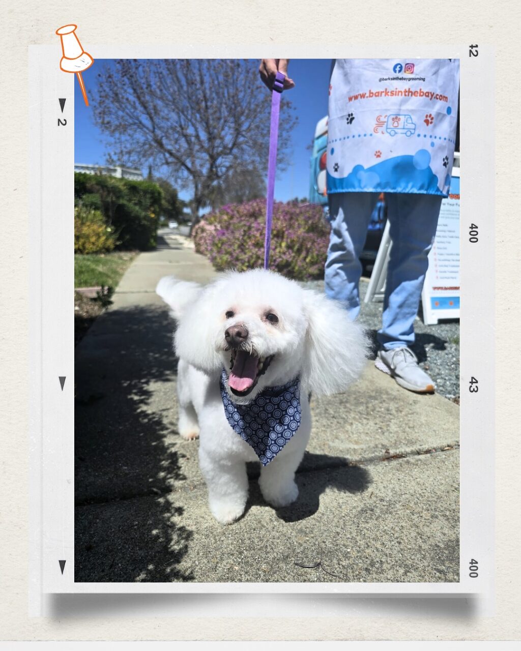 Instagram post from barksinthebaygrooming. This post is in position 0.