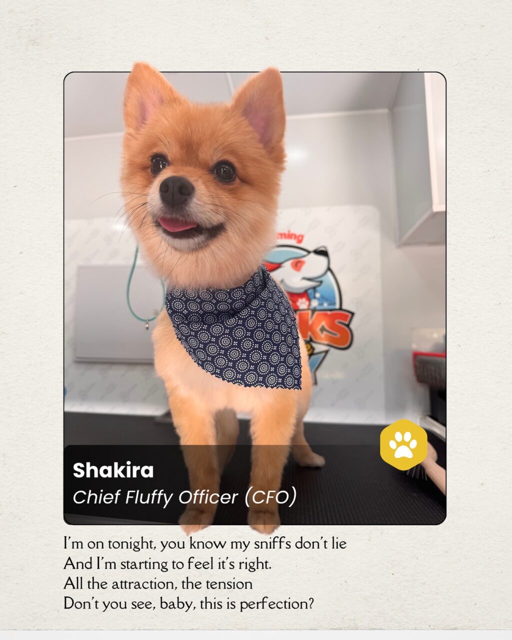 Instagram post from barksinthebaygrooming. This post is in position 9.
