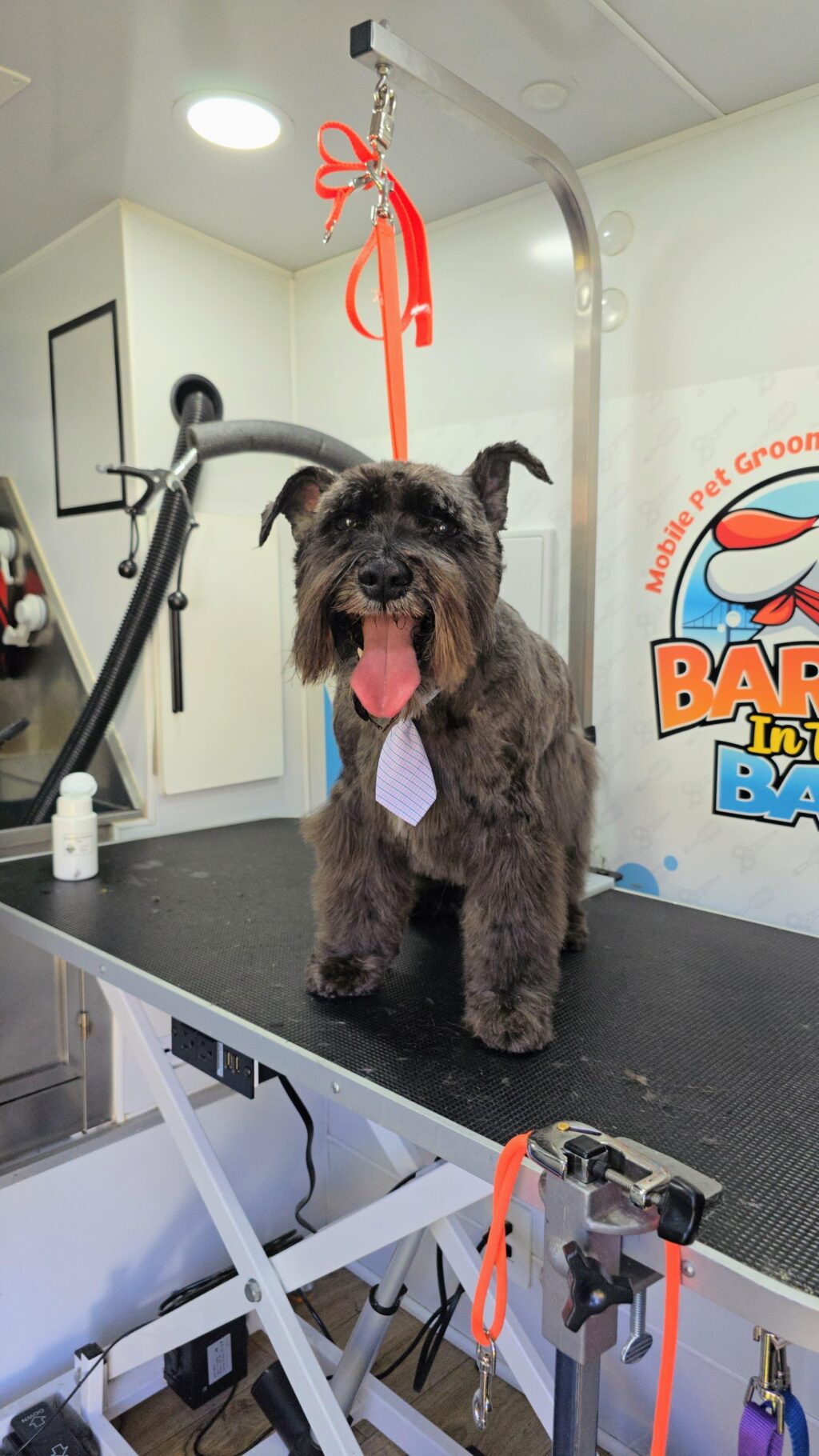 Instagram post from barksinthebaygrooming. This post is in position 1.