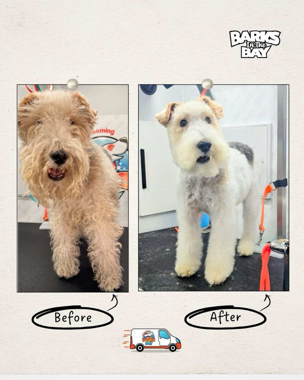 Instagram post from barksinthebaygrooming. This post is in position 7.