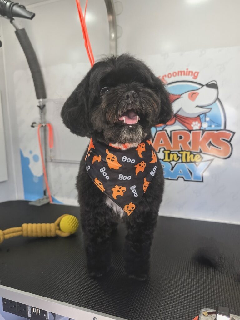 Instagram post from barksinthebaygrooming. This post is in position 9.