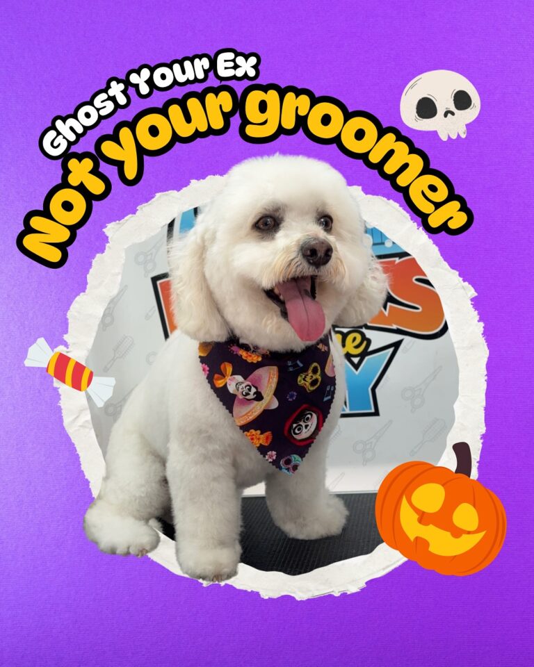 Instagram post from barksinthebaygrooming. This post is in position 9.