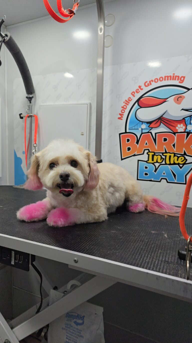 Instagram post from barksinthebaygrooming. This post is in position 6.