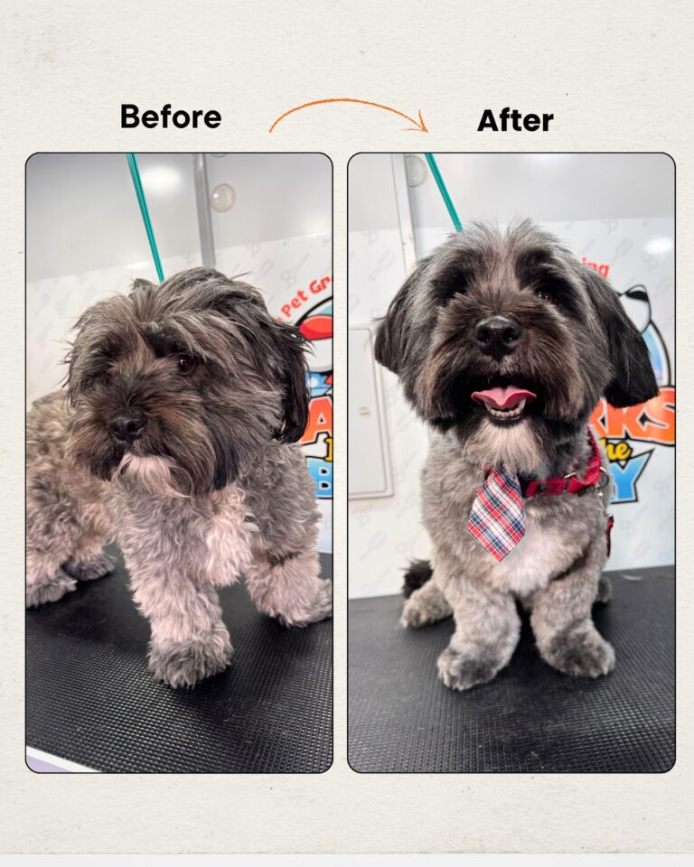 Instagram post from barksinthebaygrooming. This post is in position 8.