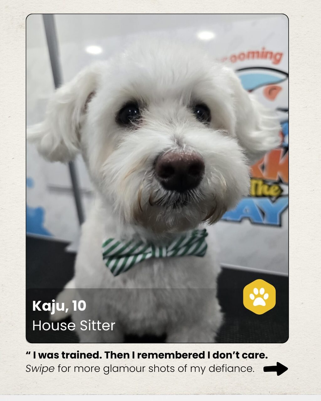 Instagram post from barksinthebaygrooming. This post is in position 0.