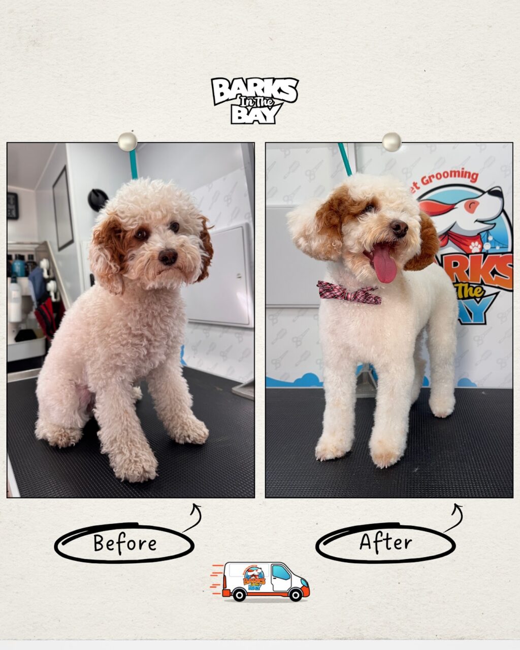 Instagram post from barksinthebaygrooming. This post is in position 5.