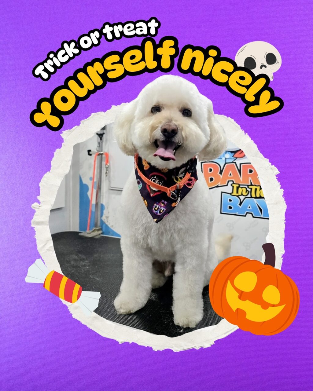 Instagram post from barksinthebaygrooming. This post is in position 3.