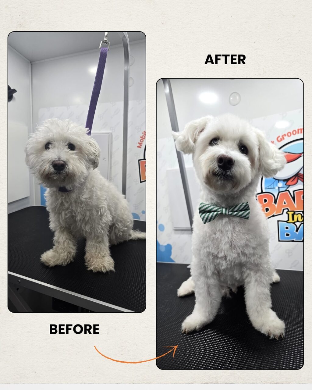 Instagram post from barksinthebaygrooming. This post is in position 1.