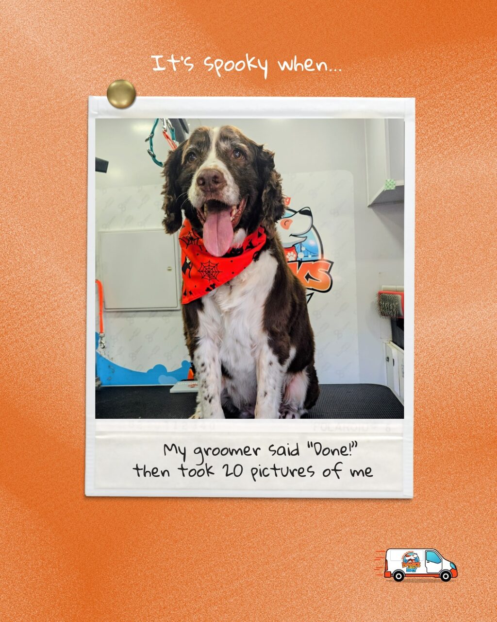 Instagram post from barksinthebaygrooming. This post is in position 2.