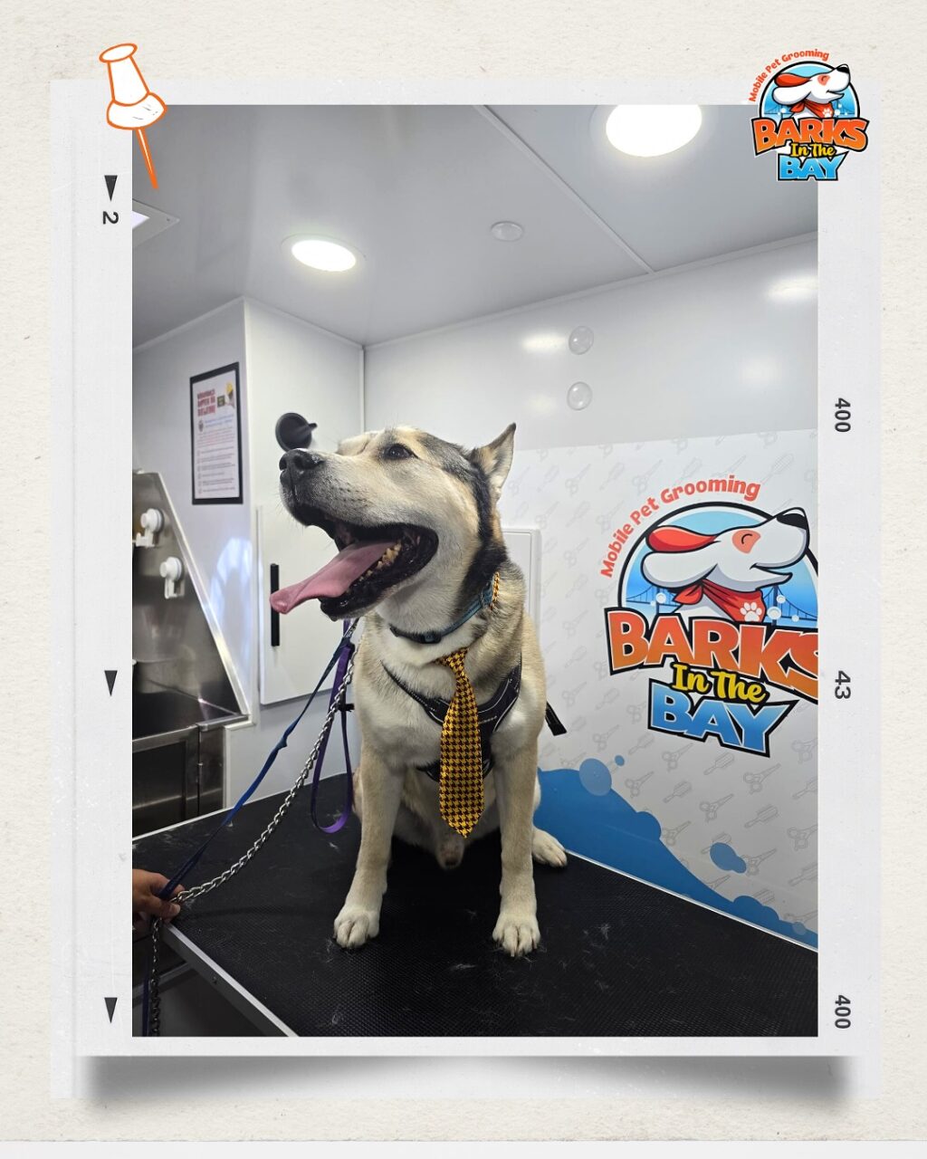 Instagram post from barksinthebaygrooming. This post is in position 0.