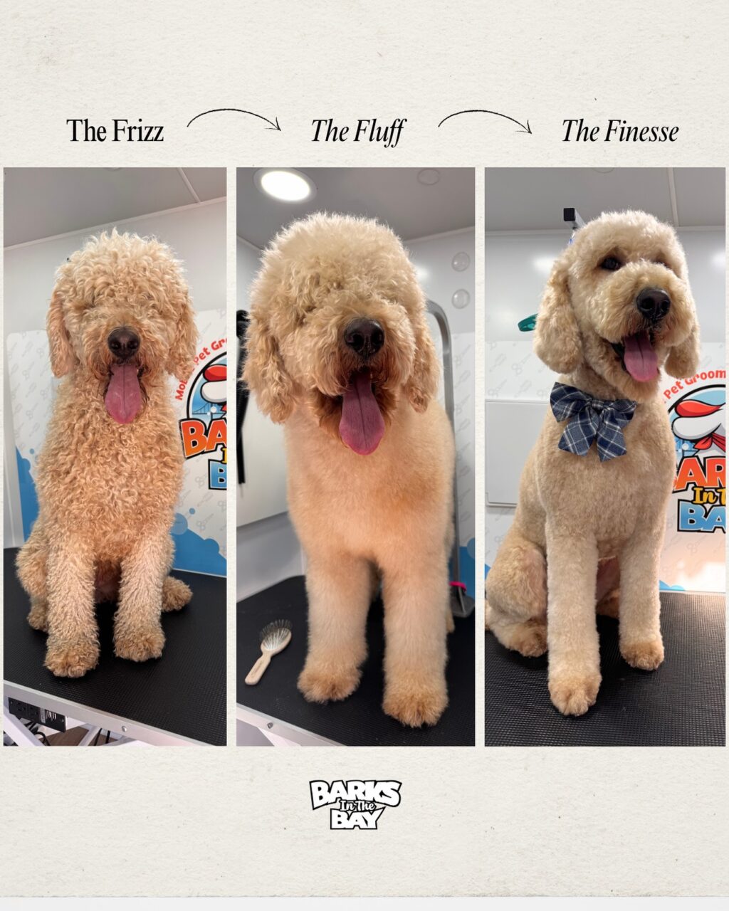 Instagram post from barksinthebaygrooming. This post is in position 2.
