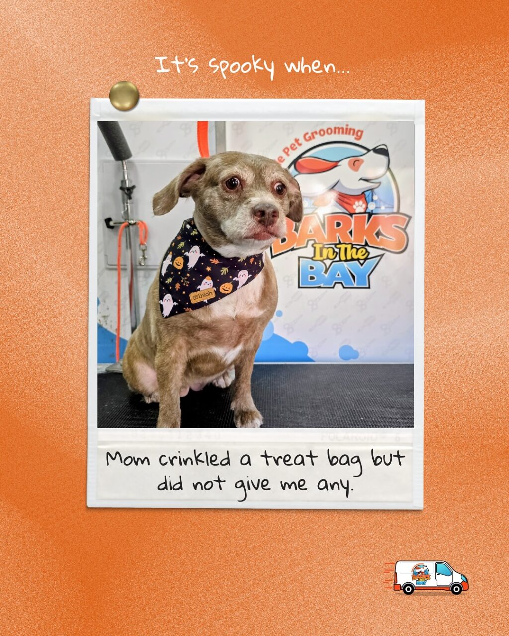 Instagram post from barksinthebaygrooming. This post is in position 0.