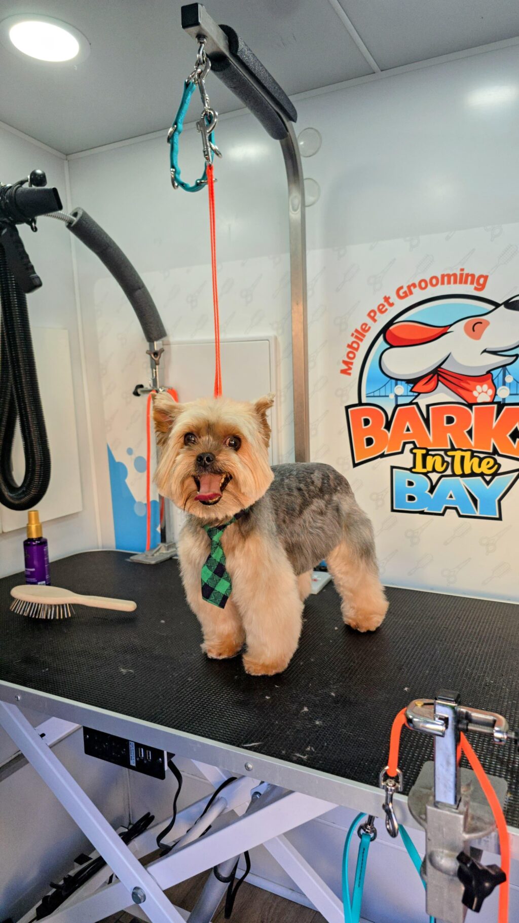 Instagram post from barksinthebaygrooming. This post is in position 0.