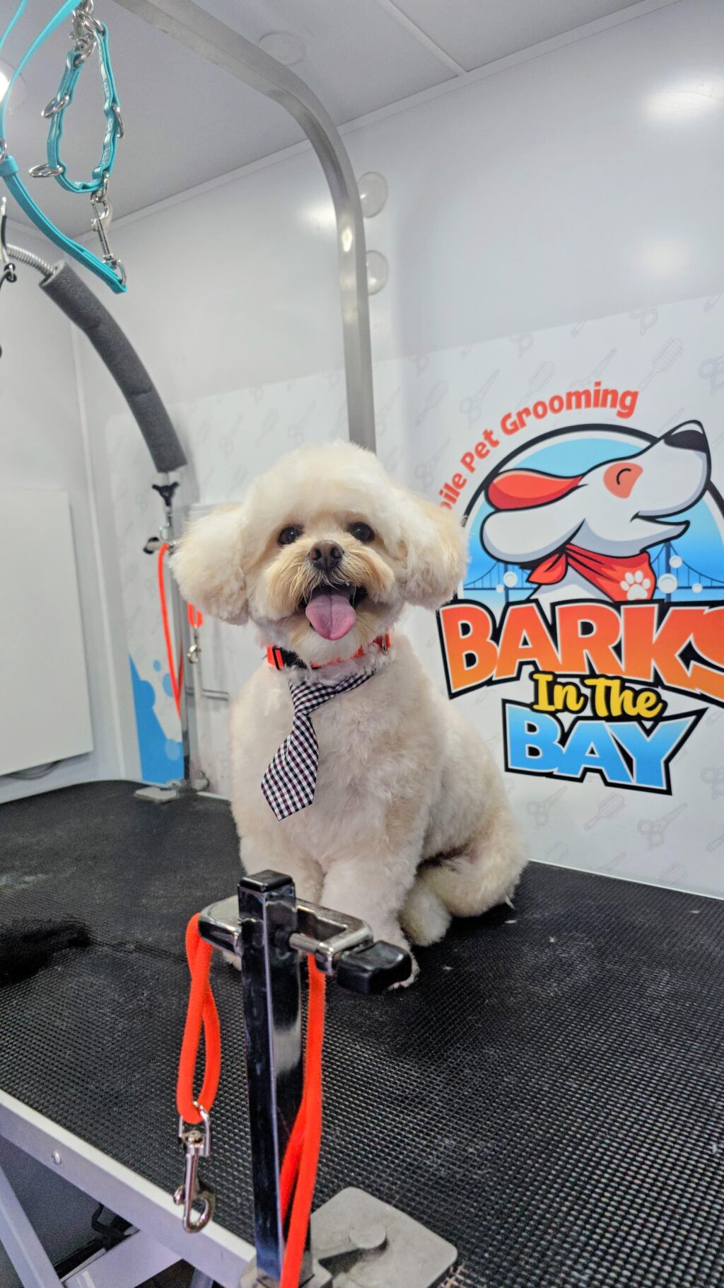 Instagram post from barksinthebaygrooming. This post is in position 8.