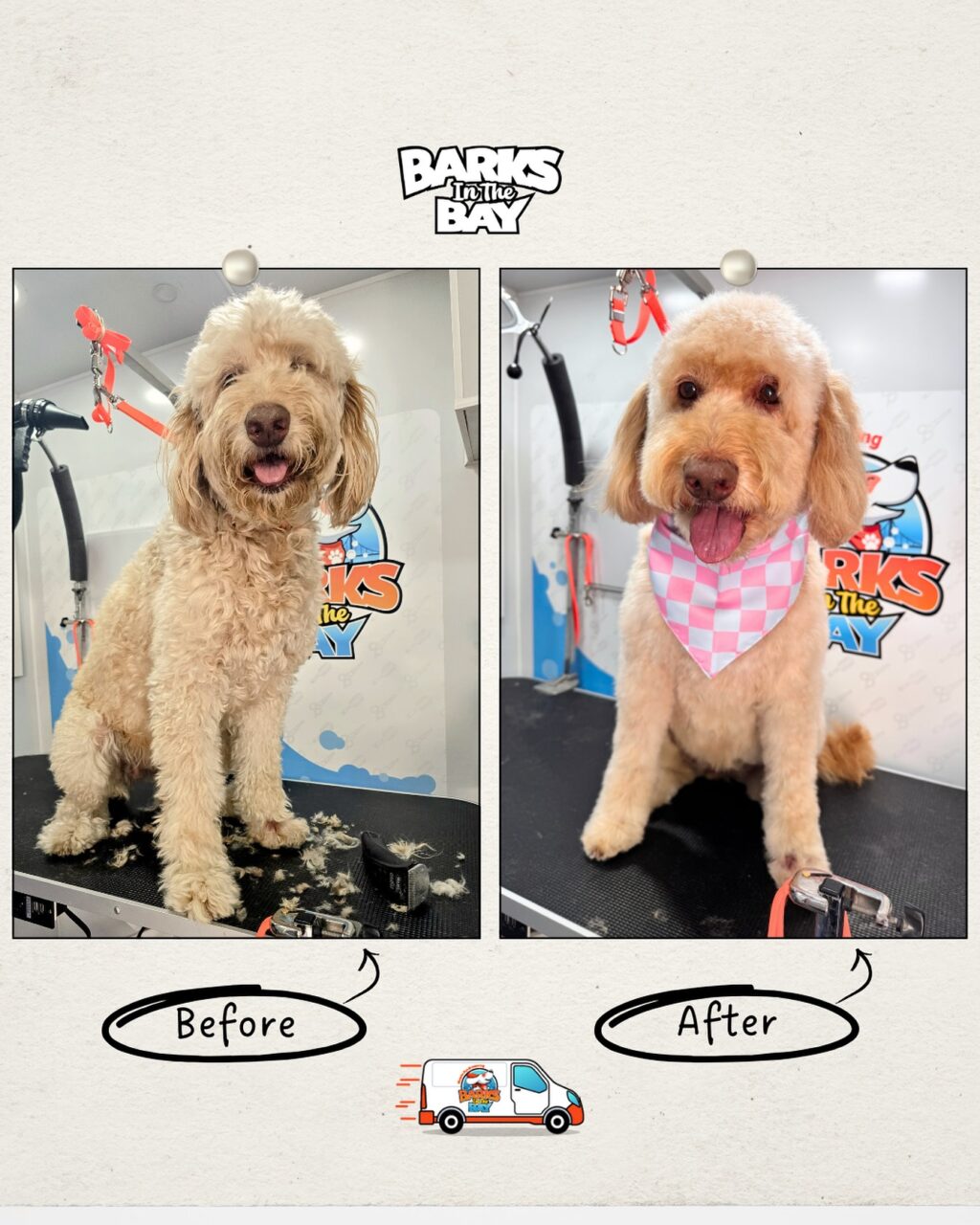 Instagram post from barksinthebaygrooming. This post is in position 5.