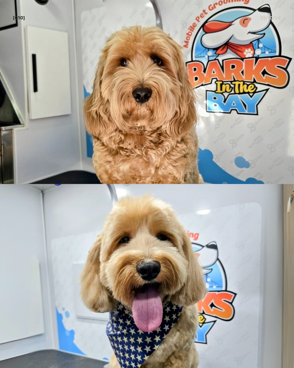 Instagram post from barksinthebaygrooming. This post is in position 0.
