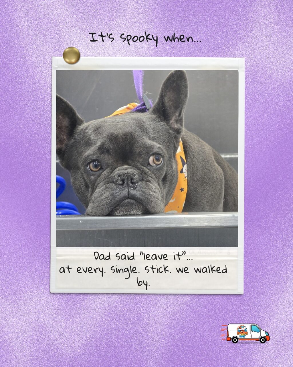 Instagram post from barksinthebaygrooming. This post is in position 1.