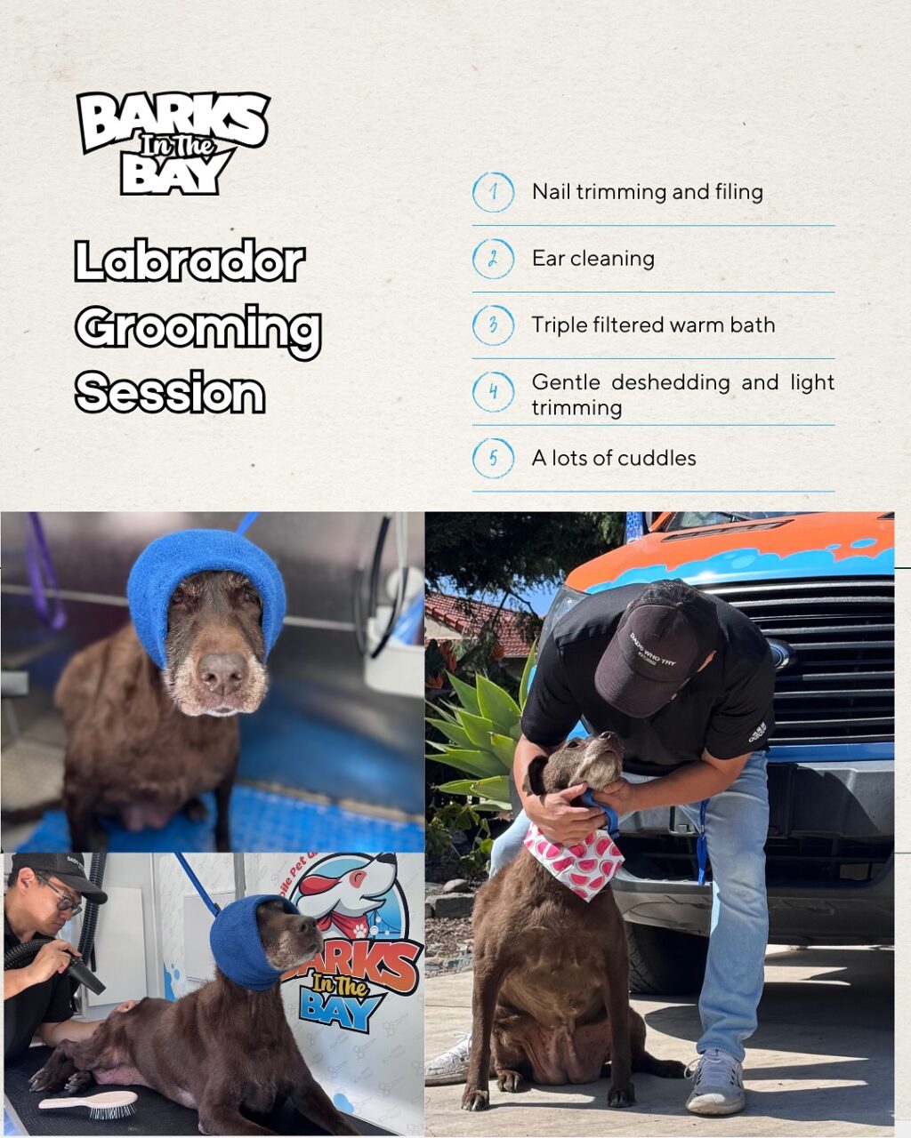 Instagram post from barksinthebaygrooming. This post is in position 1.