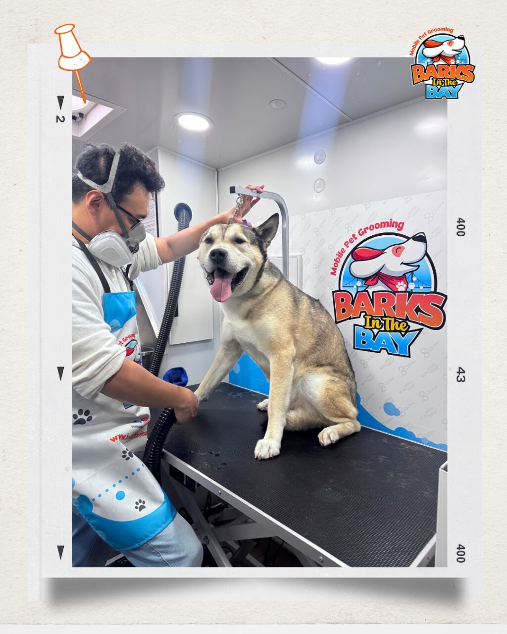 Instagram post from barksinthebaygrooming. This post is in position 4.